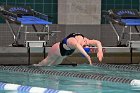 Swim vs Bentley  Wheaton College Swimming & Diving vs Bentley University. - Photo by Keith Nordstrom : Wheaton, Swimming & Diving